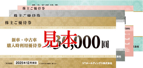VTホールディングス 株主優待券　3冊 最新⭐️VTホールディングス 3冊分 株主優待券